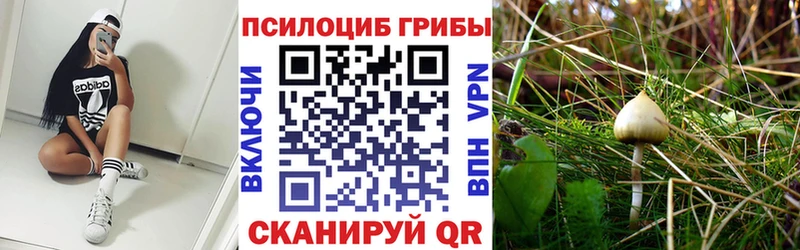 Галлюциногенные грибы ЛСД  даркнет сайт  Монино 